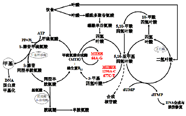 南宫NG28相信品牌的实力网址(中国)官网