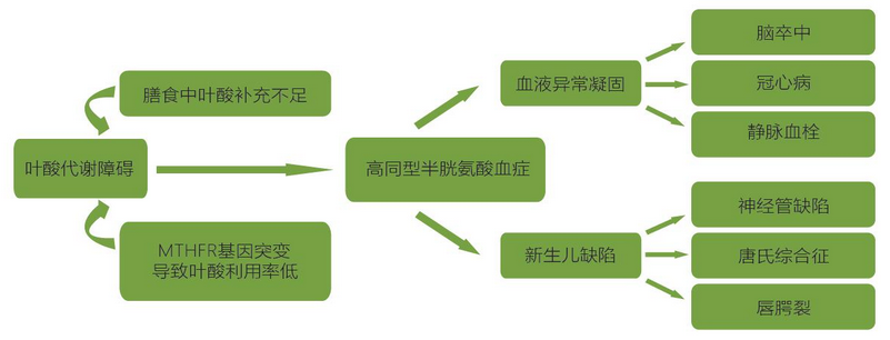20200307235808425 南宫NG28相信品牌的实力网址(中国)官网