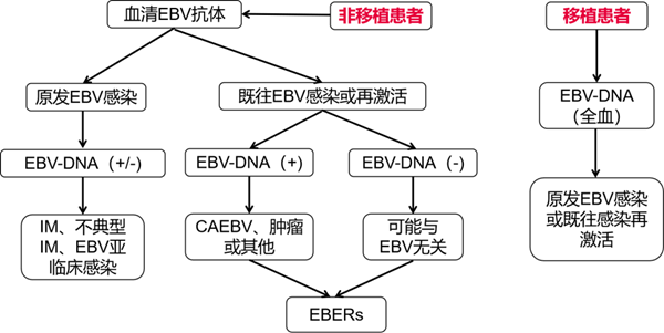 南宫NG28相信品牌的实力网址(中国)官网
