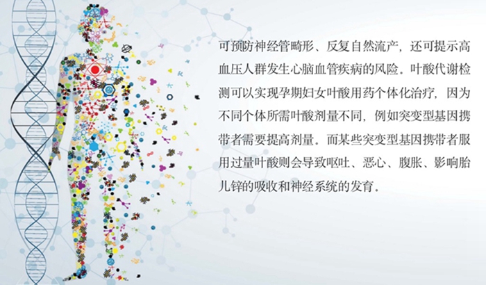 南宫NG28相信品牌的实力网址(中国)官网