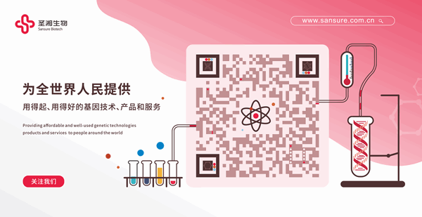 20200528095817018 南宫NG28相信品牌的实力网址(中国)官网