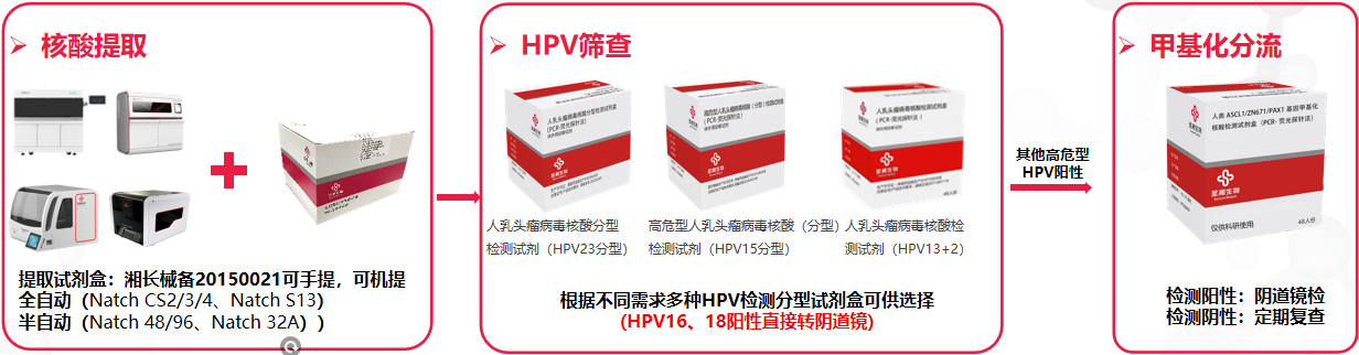 南宫NG28相信品牌的实力网址(中国)官网
